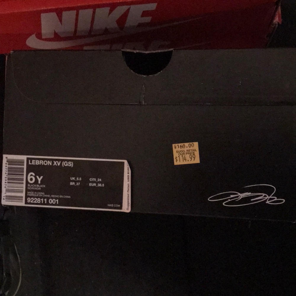 Grade School Lebron 15